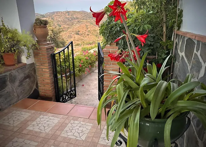 Casa Munoz Acosta